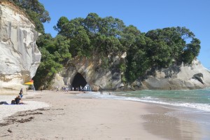 20181225094742 NZ-AU 3451   