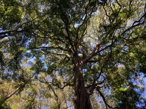 20230218090322_AU_QLD_9412